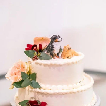 Wedding Caketopper